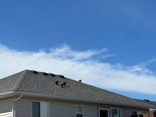 Best Cold Roofs  in Italy, TX