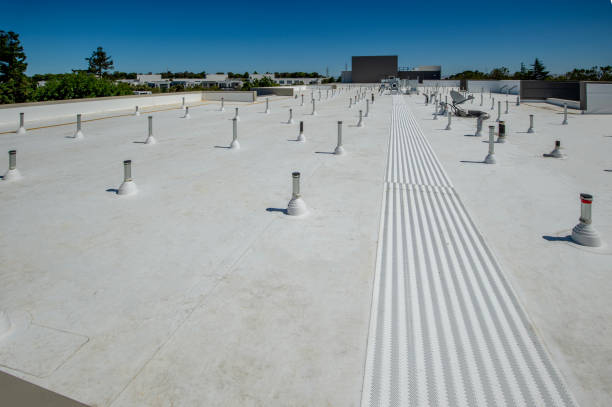 Best Roof Moss and Algae Removal  in Italy, TX